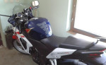 Honda CBR 250 – fotka 3