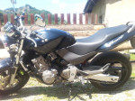 Honda Hornet 600 – fotka 2